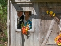 J&D300px Wedding-055